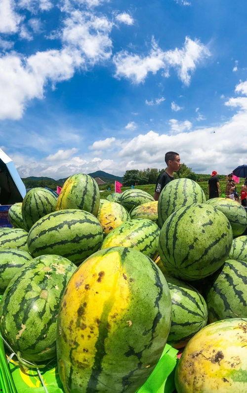梁山网红景点吃瓜视频,揭秘幕后故事与热门话题 梁山网红景点吃瓜视频,揭秘幕后故事与热门话题