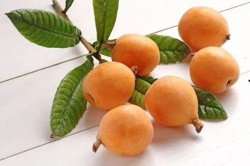 枇杷视频吃瓜事件,揭秘网络舆论的狂欢与反思 枇杷视频吃瓜事件,揭秘网络舆论的狂欢与反思