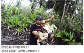 平潭爬树吃瓜事件视频,一场别开生面的夏日奇观 平潭爬树吃瓜事件视频,一场别开生面的夏日奇观