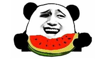 吃白瓜搞笑视频合集,白瓜搞笑视频合集,欢乐无限 吃白瓜搞笑视频合集,白瓜搞笑视频合集,欢乐无限