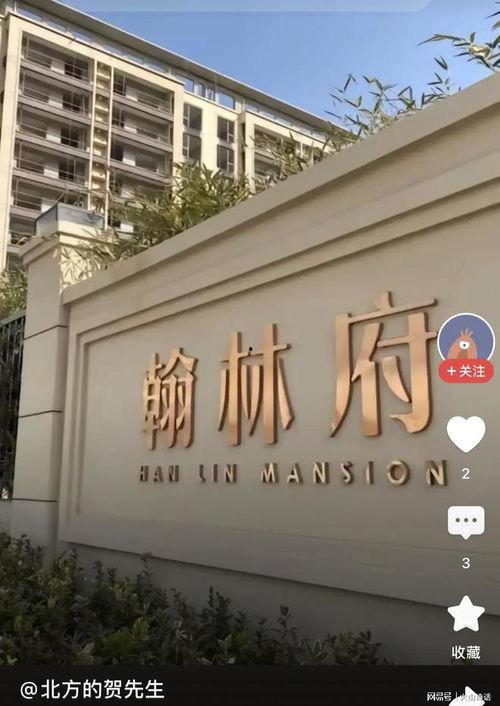 吃瓜视频曹县,揭秘网络热传视频背后的故事