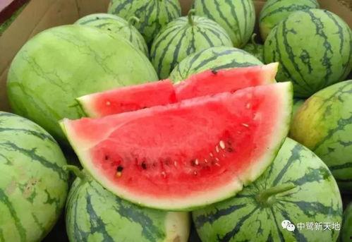 鄂州一家亲视频吃瓜,吃瓜群众围观家庭温馨瞬间